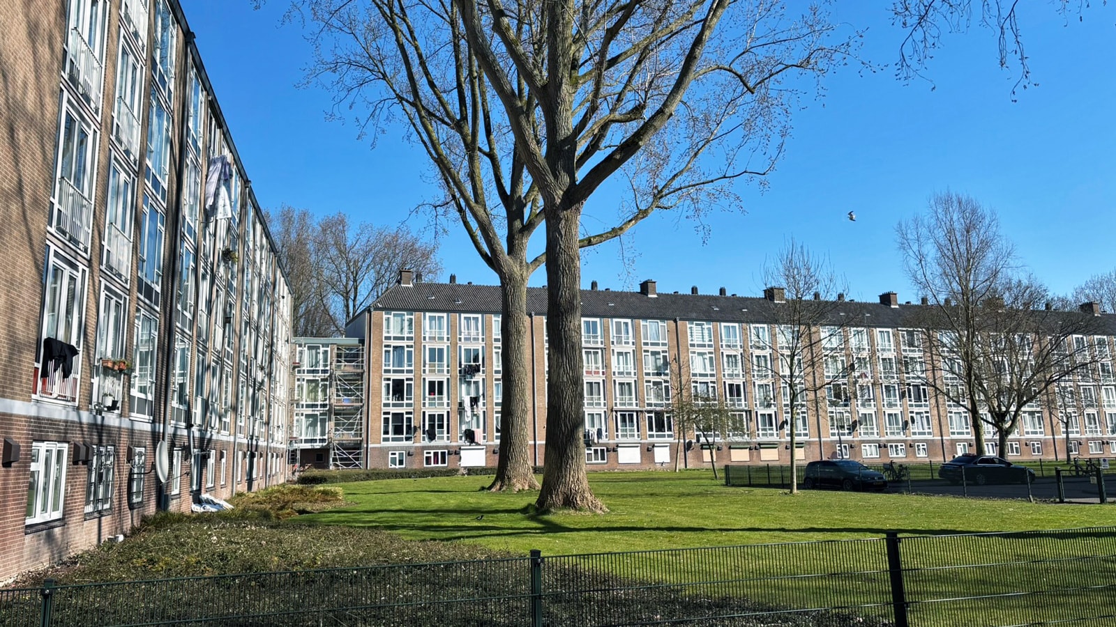 Botteskerksingel — buurtfoto